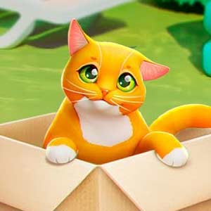 Walk, play, and cuddle your way through a cat lover's dream! Adorable orange cat popping out of cardboard box
